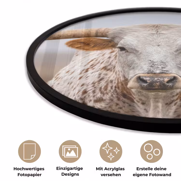 Longhorn - Grasveld - Dier Fotolijst rond zonder passe partout klein -closeup_DE