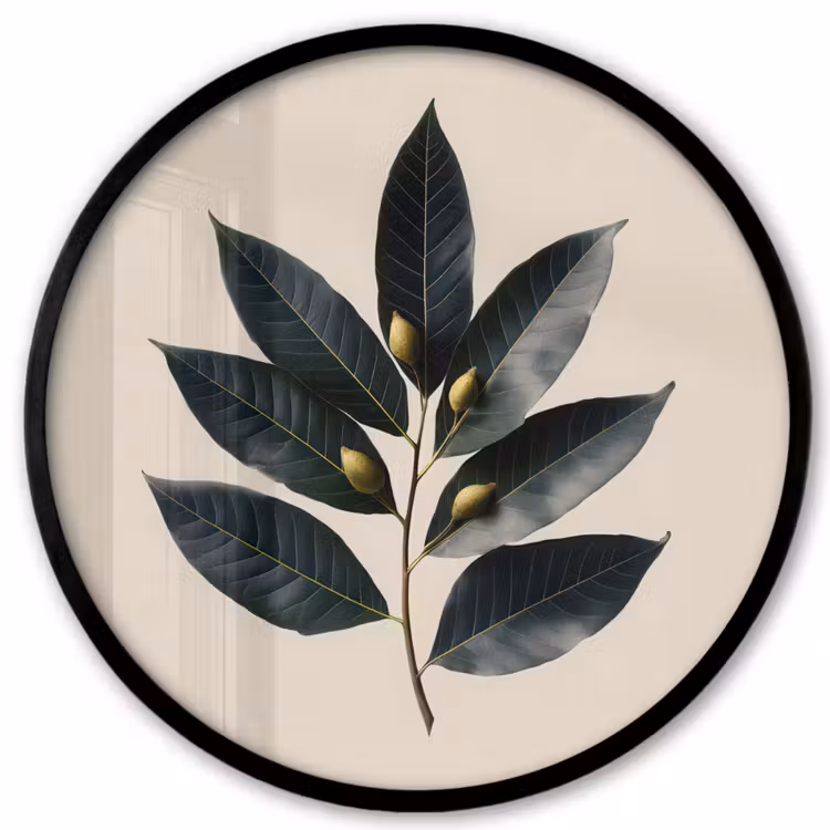 Laurierbladeren - Bloemknoppen - subtiel Fotolijst rond zonder passe partout klein -3d