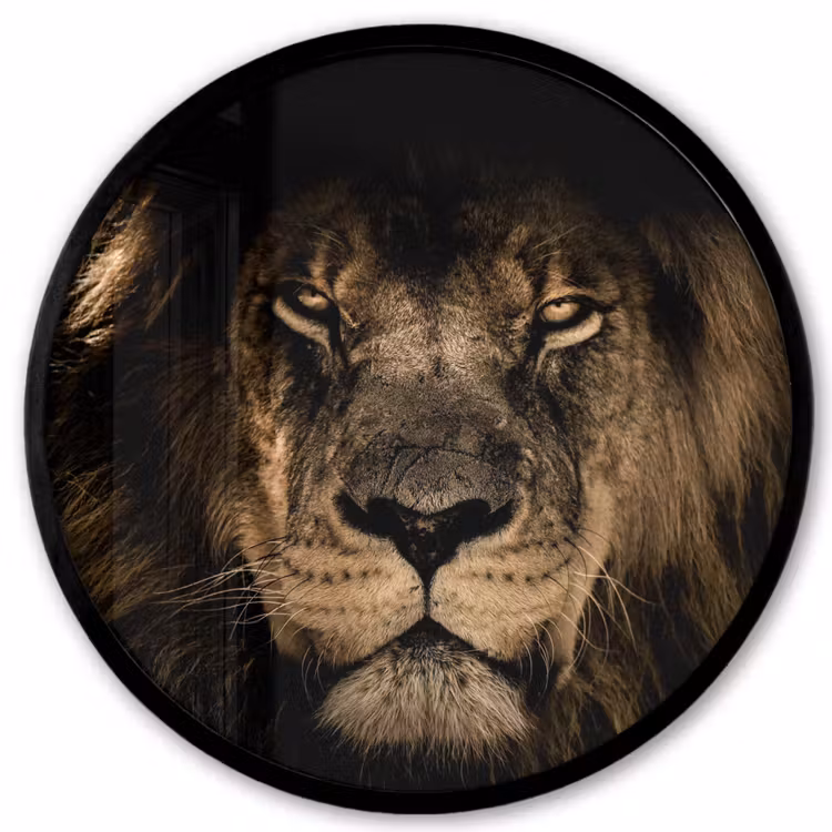 Leeuw - Dieren - Zwart - Portret Fotolijst rond zonder passe partout klein -3d