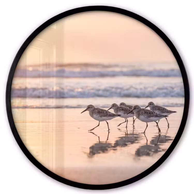 Zee - Vogels - Strand Fotolijst rond zonder passe partout klein -3d