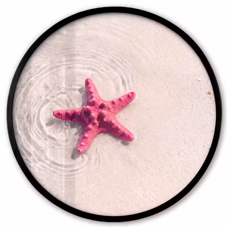 Zeeleven - Zeester - Strand - Roze - Water Fotolijst rond zonder passe partout klein -3d