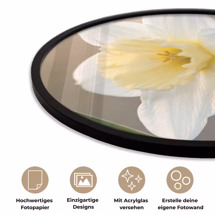 Narcis - Bloem - Minimalistisch Fotolijst rond zonder passe partout klein -closeup_DE