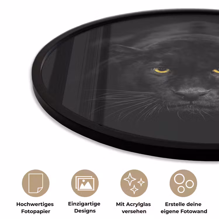 Panter - Dieren - Zwart - Ogen Fotolijst rond zonder passe partout klein -closeup_DE