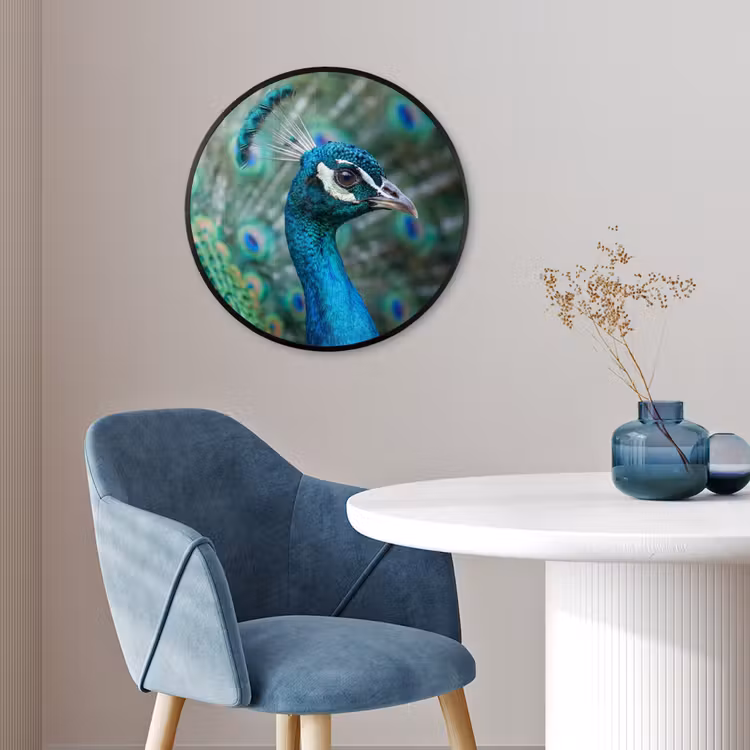 Pauw - Veren - Blauw Fotolijst rond zonder passe partout klein -sfeer2