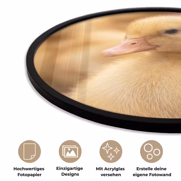 Pijltje - Eend - Natuur - Geel Fotolijst rond zonder passe partout klein -closeup_DE
