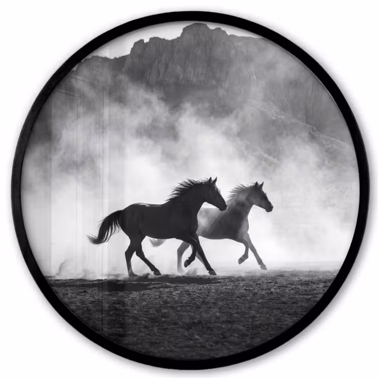 Paard - Ren - Stof - Zwart-wit - Dieren Fotolijst rond zonder passe partout klein -3d