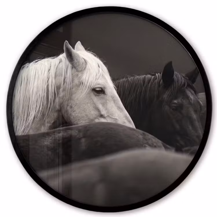 Paarden - Zwart - Wit - Kudde Fotolijst rond zonder passe partout klein -3d