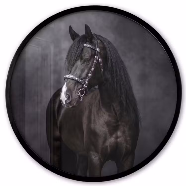 Portret - Paard - Zwart Fotolijst rond zonder passe partout klein -3d