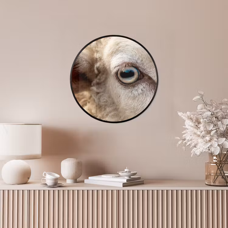 Schaap - Oog - Wit Fotolijst rond zonder passe partout klein -sfeer3