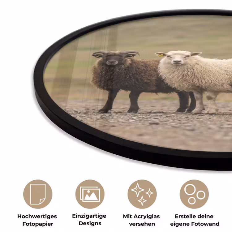 Schapen - Bruin - Wit - Grindpad Fotolijst rond zonder passe partout klein -closeup_DE