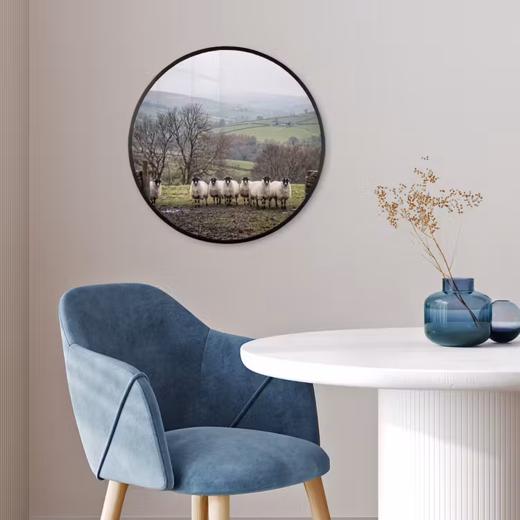 Schapen - Rij - Weide - Dieren - Platteland Fotolijst rond zonder passe partout klein -sfeer2