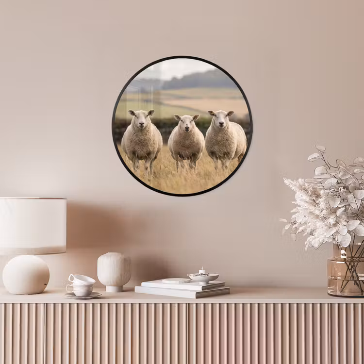 Schapen - Weidenlandschap - Heuvels Fotolijst rond zonder passe partout klein -sfeer3