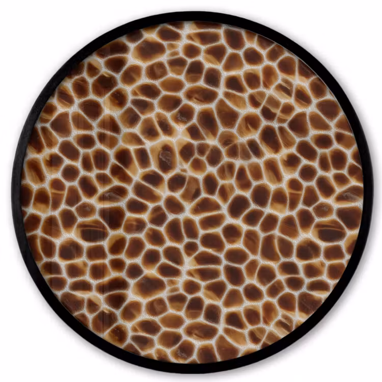 Schildpad - Bruin - Patroon Fotolijst rond zonder passe partout klein 856 -3d