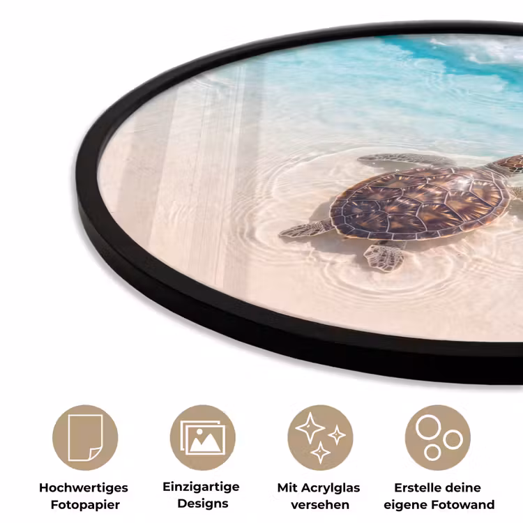 Schildpad - Helder water - Strand - Dieren - Natuur Fotolijst rond zonder passe partout klein -closeup_DE