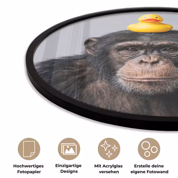 Chimpansee - Badeend - Grijs Fotolijst rond zonder passe partout klein -closeup_DE