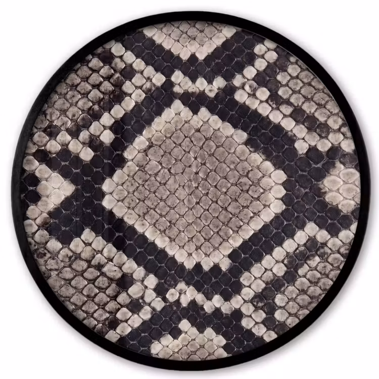 Slangenleer - Patroon - Beige Fotolijst rond zonder passe partout klein -3d