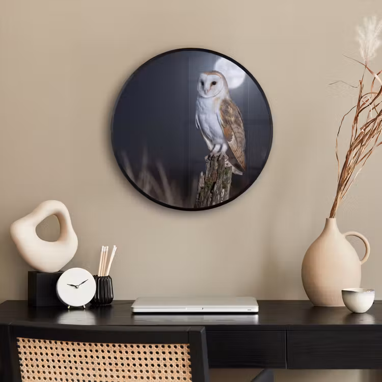 Kerkuil - Maan - Nacht Fotolijst rond zonder passe partout klein -sfeer1