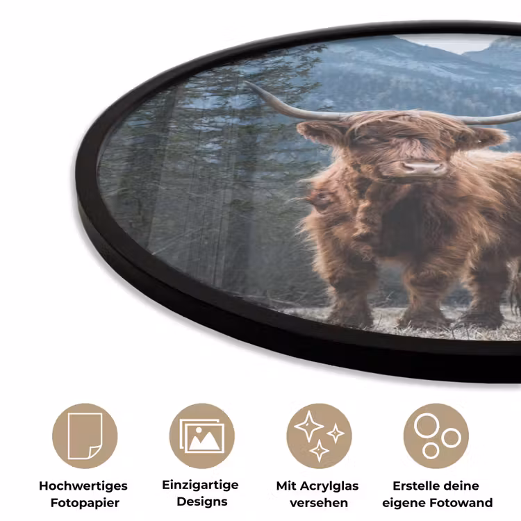 Schotse hooglander - Berg - Landschap - Bomen - Koe - Natuur Fotolijst rond zonder passe partout klein -closeup_DE