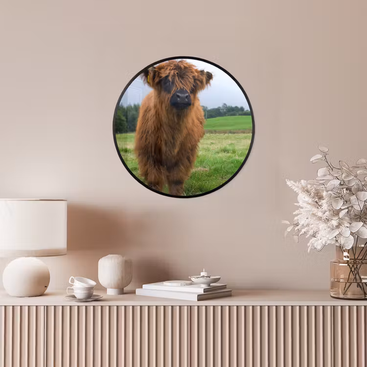 Schotse hooglander - Koeien - Natuur - Groen - Gras Fotolijst rond zonder passe partout klein -sfeer3