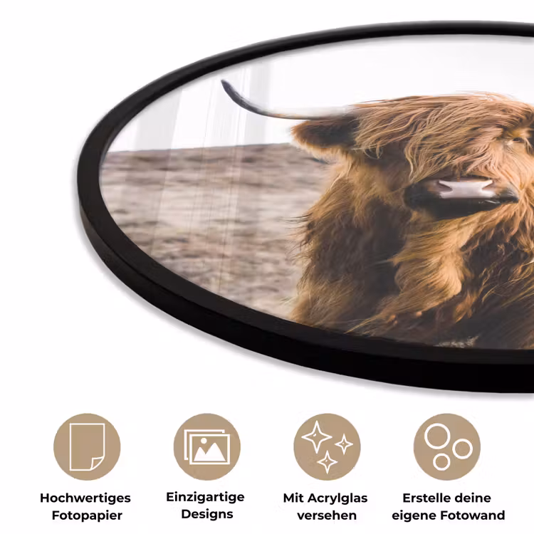 Schotse hooglander - Landschap - Koe - Bruin - Dieren - Natuur Fotolijst rond zonder passe partout klein -closeup_DE