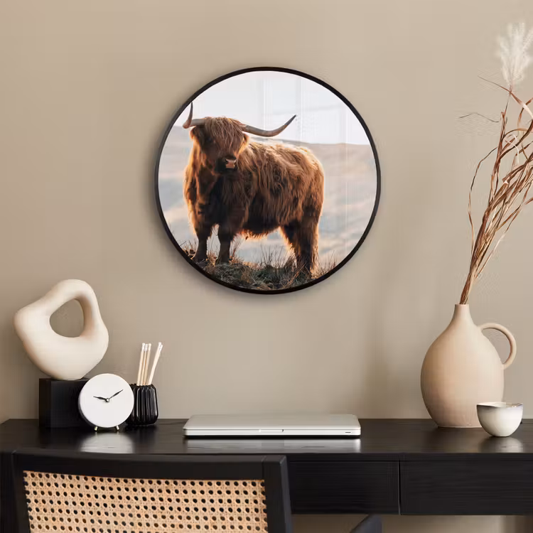 Schotse hooglander - Dieren - Landelijk - Landschap - Koe - Natuur Fotolijst rond zonder passe partout klein -sfeer1