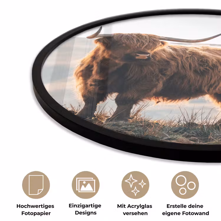 Schotse hooglander - Dieren - Landelijk - Landschap - Koe - Natuur Fotolijst rond zonder passe partout klein -closeup_DE