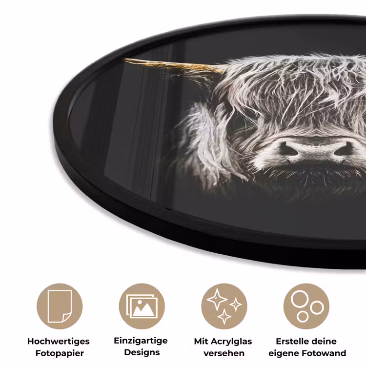 Schotse hooglander - Goud - Hoorns - Zwart wit - Koe - Dieren Fotolijst rond zonder passe partout klein -closeup_DE