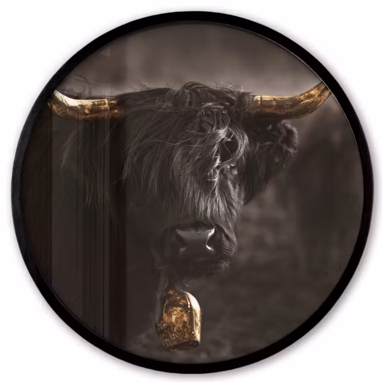 Schotse hooglander - Goud - Koebel - Hoorns - Dieren Fotolijst rond zonder passe partout klein -3d