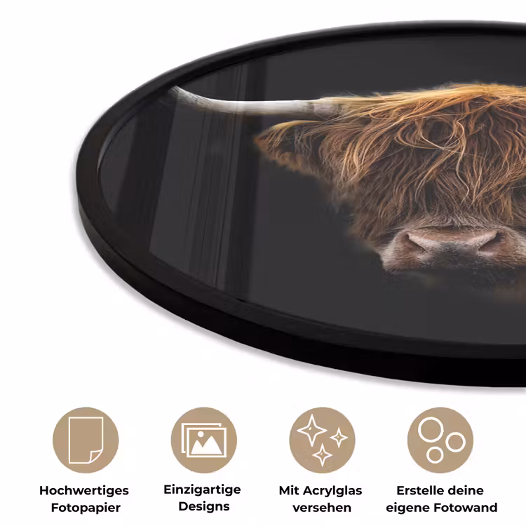 Schotse Hooglander - Horens - Zwart - Dieren - Natuur - Wild - Koe Fotolijst rond zonder passe partout klein -closeup_DE