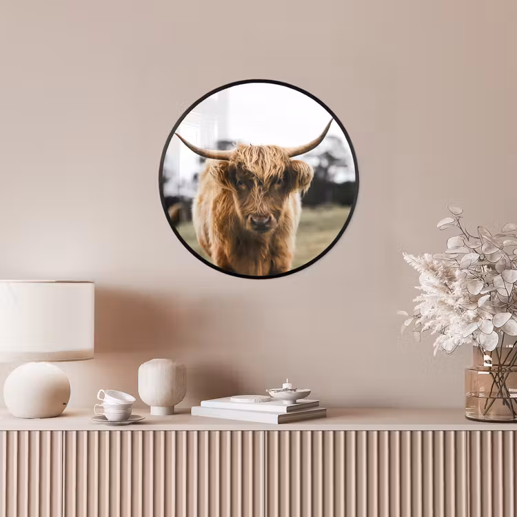 Schotse Hooglander - Koe - Gras - Dieren - Natuur Fotolijst rond zonder passe partout klein -sfeer3