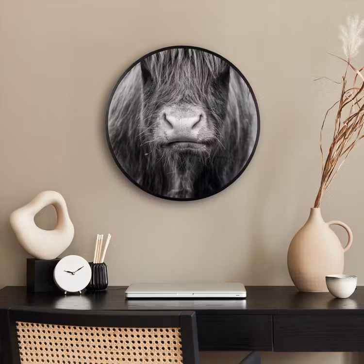 Schotse hooglander - Koe - Zwart - Wit - Dieren Fotolijst rond zonder passe partout klein -sfeer1