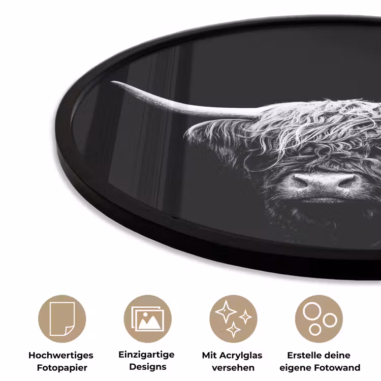 Schotse Hooglander - Koe - Zwart - Wit - Dieren Fotolijst rond zonder passe partout klein -closeup_DE