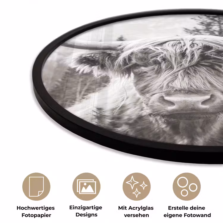 Schotse hooglander - Koe - Dieren - Zwart - Wit Fotolijst rond zonder passe partout klein -closeup_DE