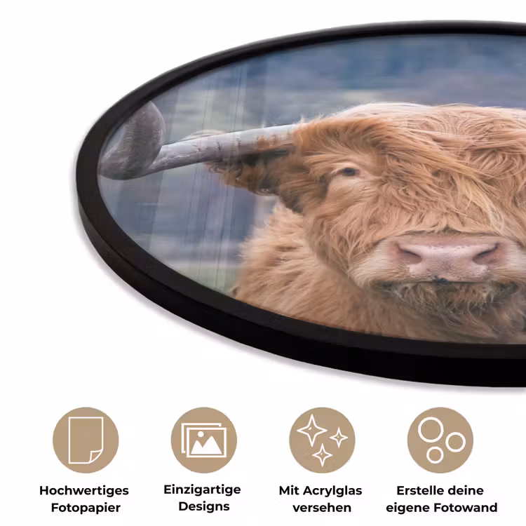 Schotse Hooglander - Koeienkop - Landschap - Natuur - Koe Fotolijst rond zonder passe partout klein -closeup_DE