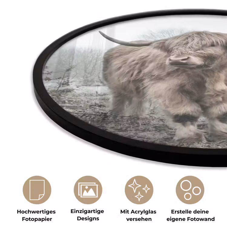 Schotse Hooglander - Bos - Mist - Koe - Dieren - Natuur Fotolijst rond zonder passe partout klein -closeup_DE
