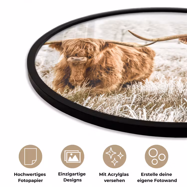 Schotse hooglander - Koe - Natuur - Winter Fotolijst rond zonder passe partout klein -closeup_DE