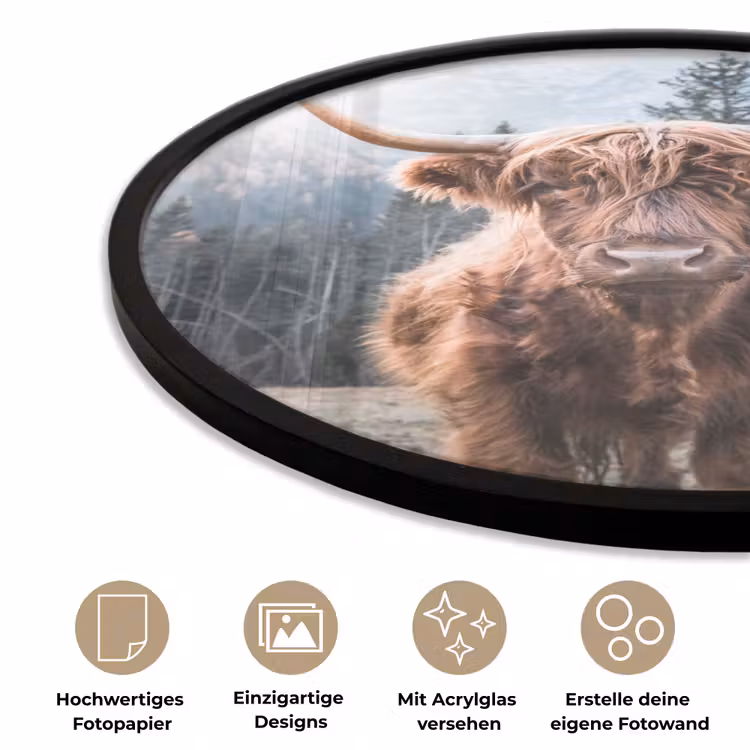 Schotse hooglander - Koe - Dieren - Berg - Natuur Fotolijst rond zonder passe partout klein -closeup_DE