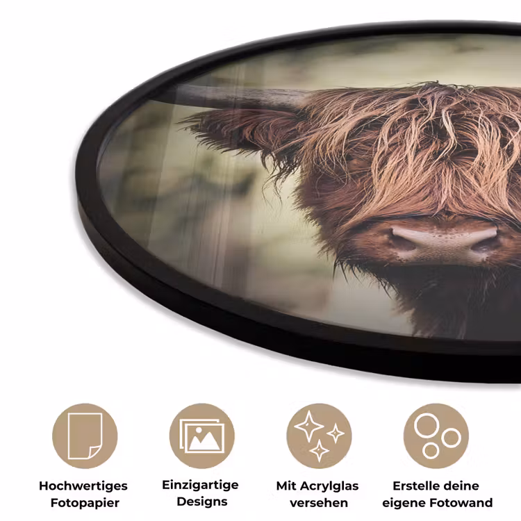 Schotse hooglander - Licht - Portret - Natuur Fotolijst rond zonder passe partout klein -closeup_DE