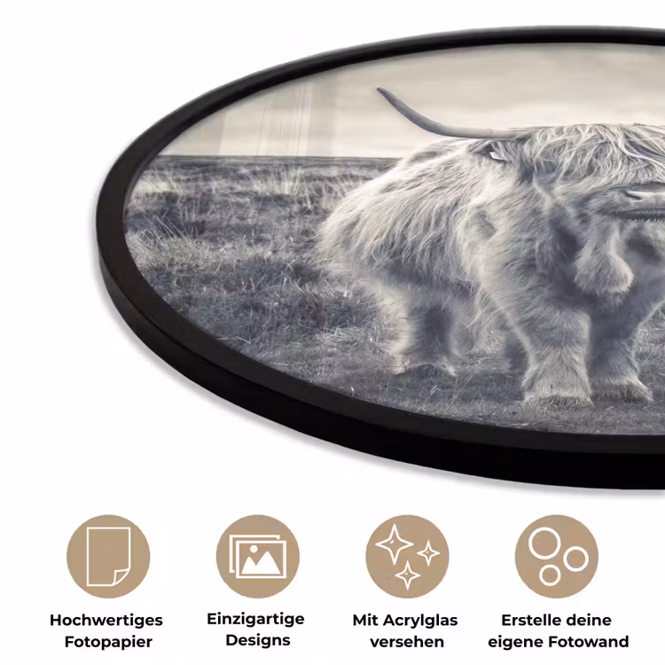 Schotse hooglander - Dieren - Wolken - Koe - Natuur Fotolijst rond zonder passe partout klein -closeup_DE