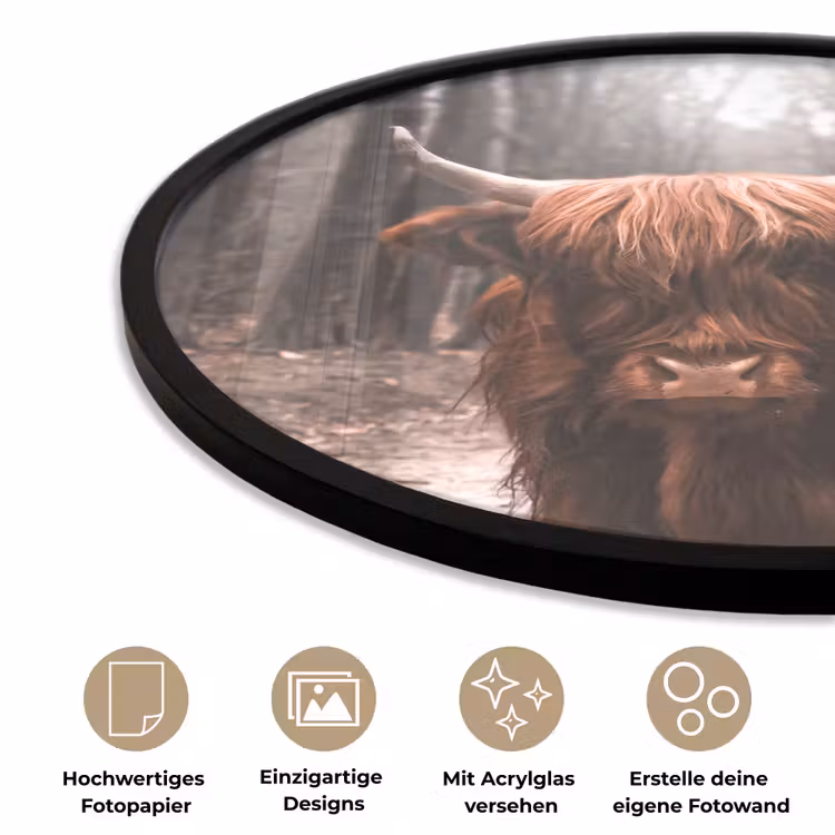 Schotse hooglander - Bos - Koe - Dieren - Natuur Fotolijst rond zonder passe partout klein -closeup_DE