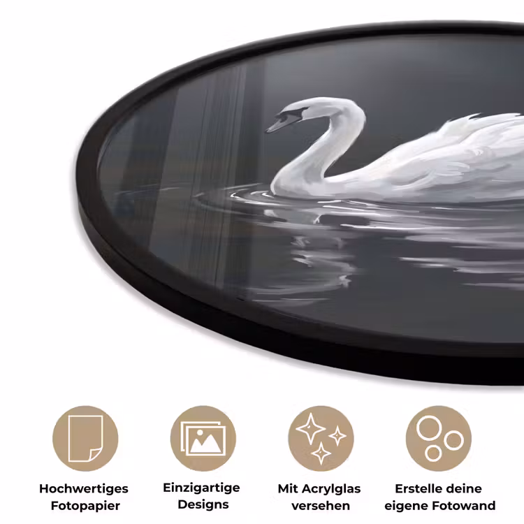 Zwaan - Water - Natuur - Realistisch - Wit Fotolijst rond zonder passe partout klein -closeup_DE