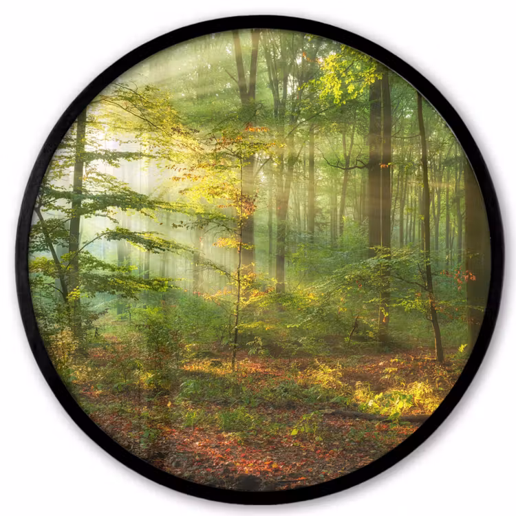 Zon - Bos - Bomen - Natuur - Herfst Fotolijst rond zonder passe partout klein -3d