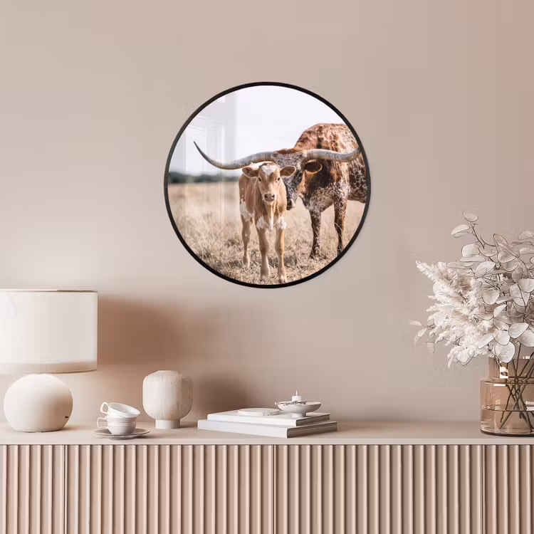Texas Longhorn - Kalf - Weide - Dieren Fotolijst rond zonder passe partout klein -sfeer3