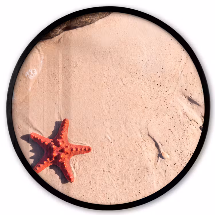 Dieren - Strand - Zee - Natuur - Rood Fotolijst rond zonder passe partout klein -3d