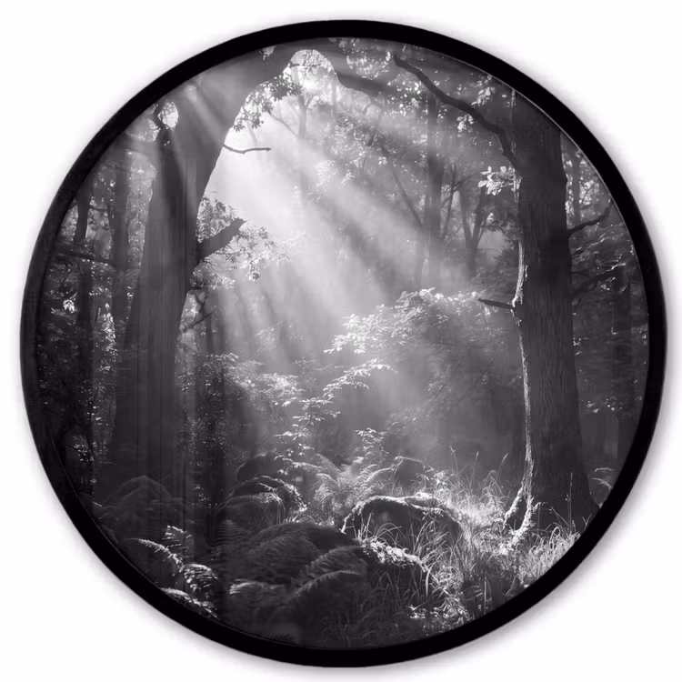 Bos - Lichtstralen - Natuur - Zwart-wit Fotolijst rond zonder passe partout klein -3d