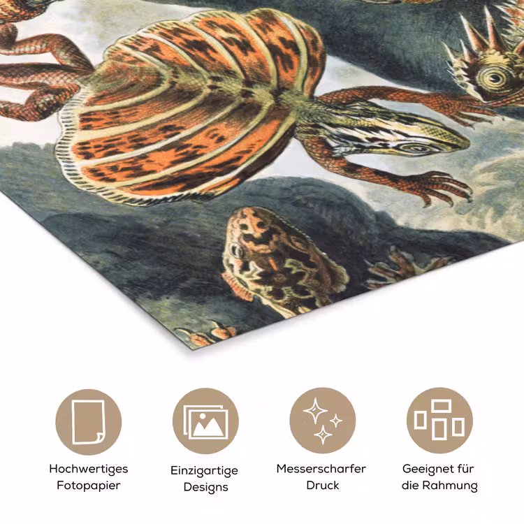 Vintage - Kunst - Ernst Haeckel - Salamanders - Dieren poster papier klein -tcloseup_DE