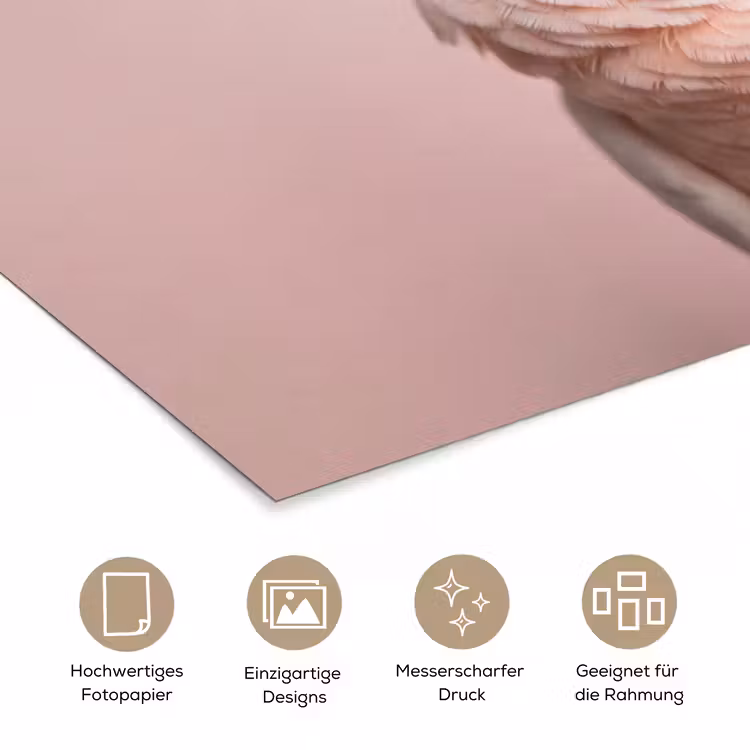 Kaketoe - Portret - Roze poster papier klein -tcloseup_DE