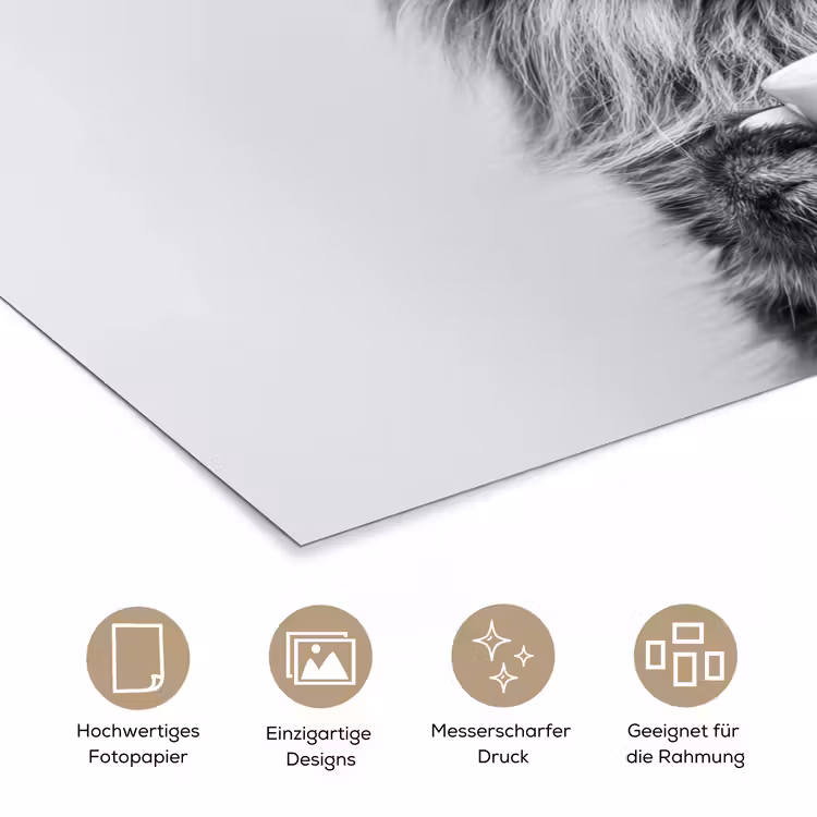 Kat - Bril - Mok - Pluizig poster papier klein -tcloseup_DE