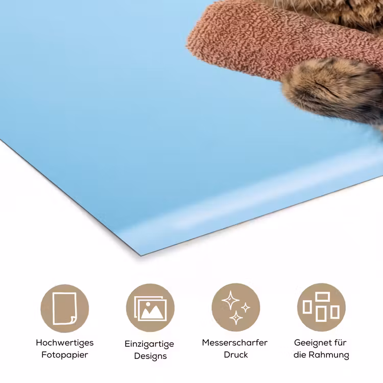 Kat - Handdoek - Washand - Zeep poster papier klein -tcloseup_DE