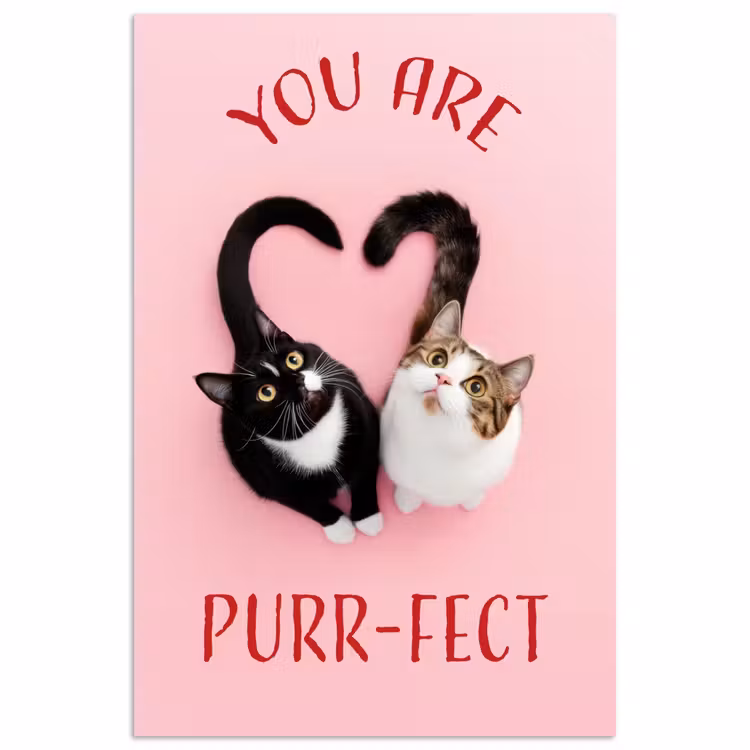 Kat - Hart - Tekst - Valentijn poster papier klein -3d